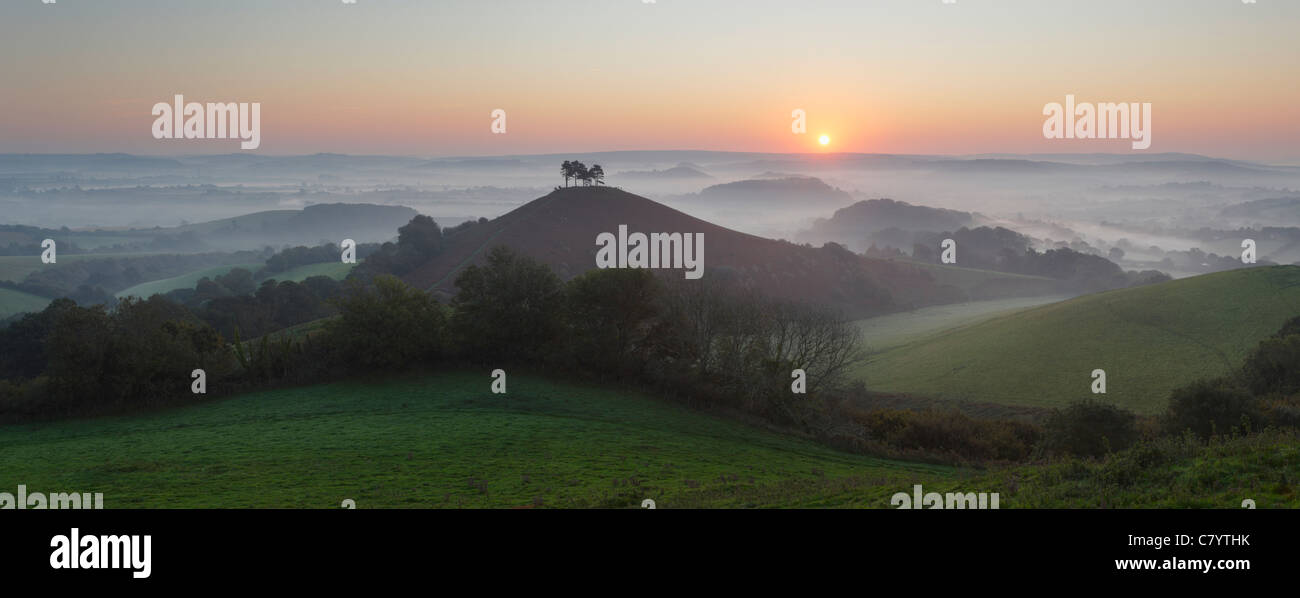 Colmer's Hill et Marshwood Vale au lever du soleil. Le Dorset. L'Angleterre. UK. Banque D'Images