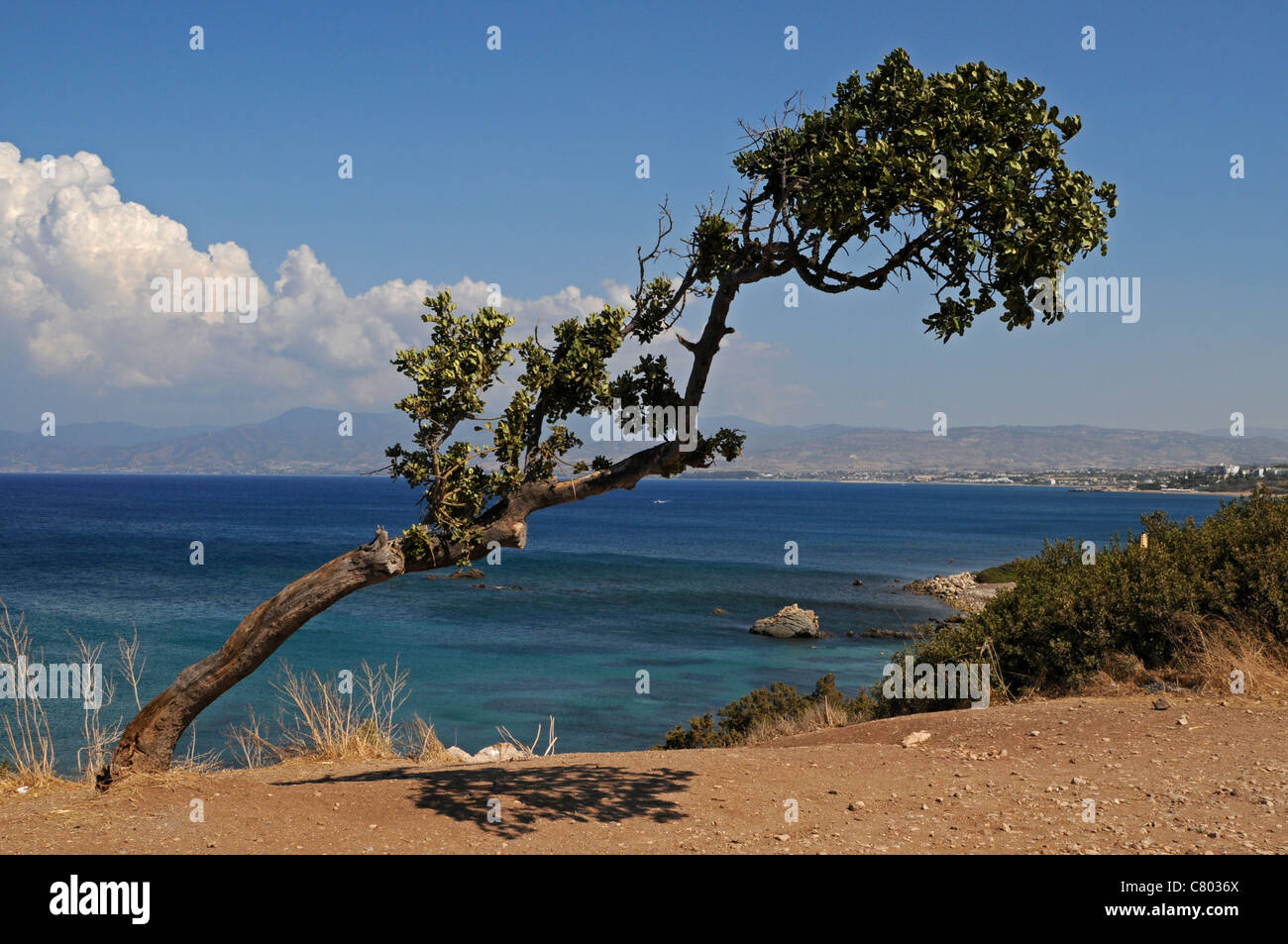 Le littoral préservé du nord ouest de la péninsule d'Akamas, une aire de conservation d'une beauté naturelle Banque D'Images