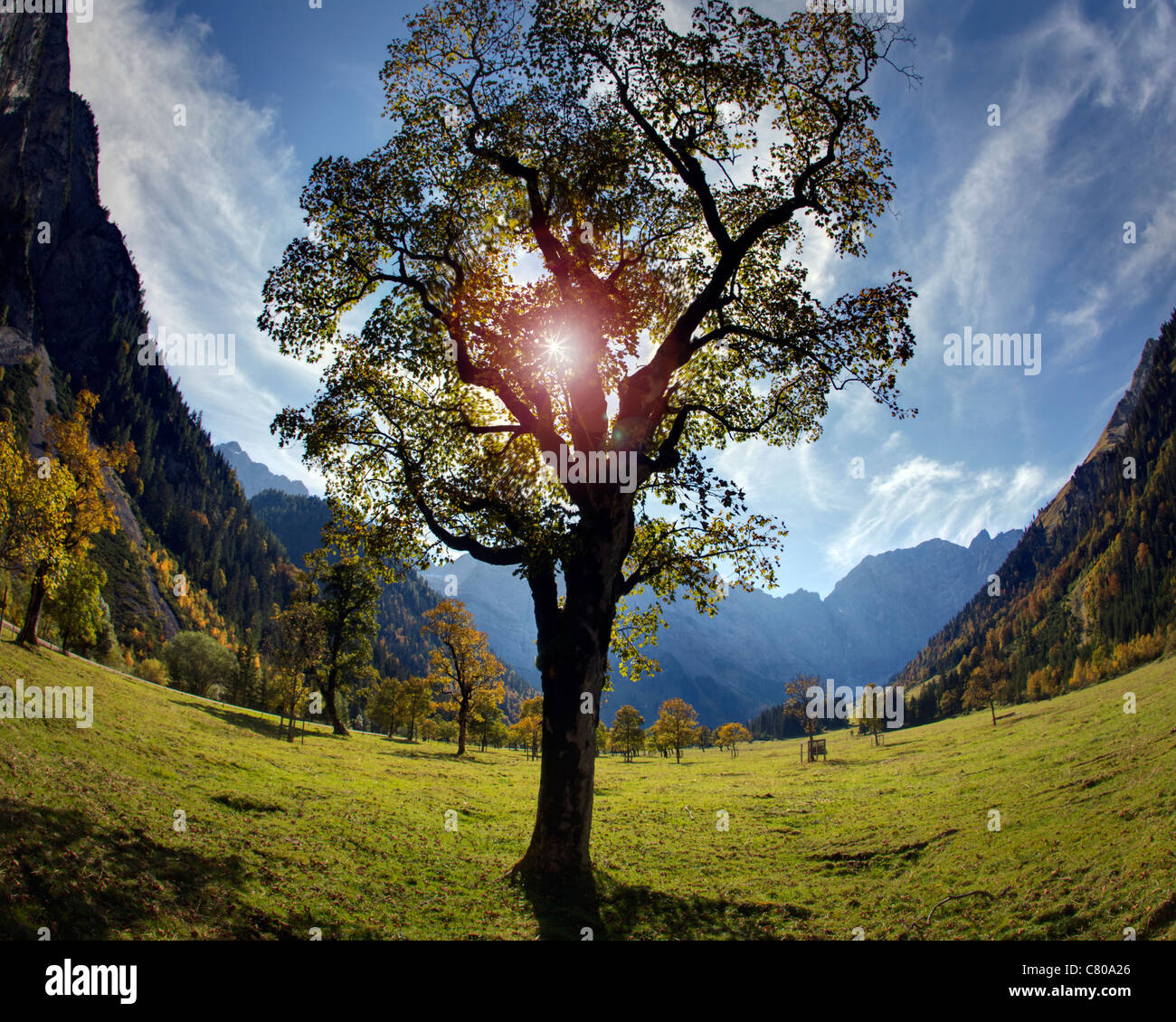 Au Tyrol - à l'automne : grosser ahornboden (image hdr) Banque D'Images