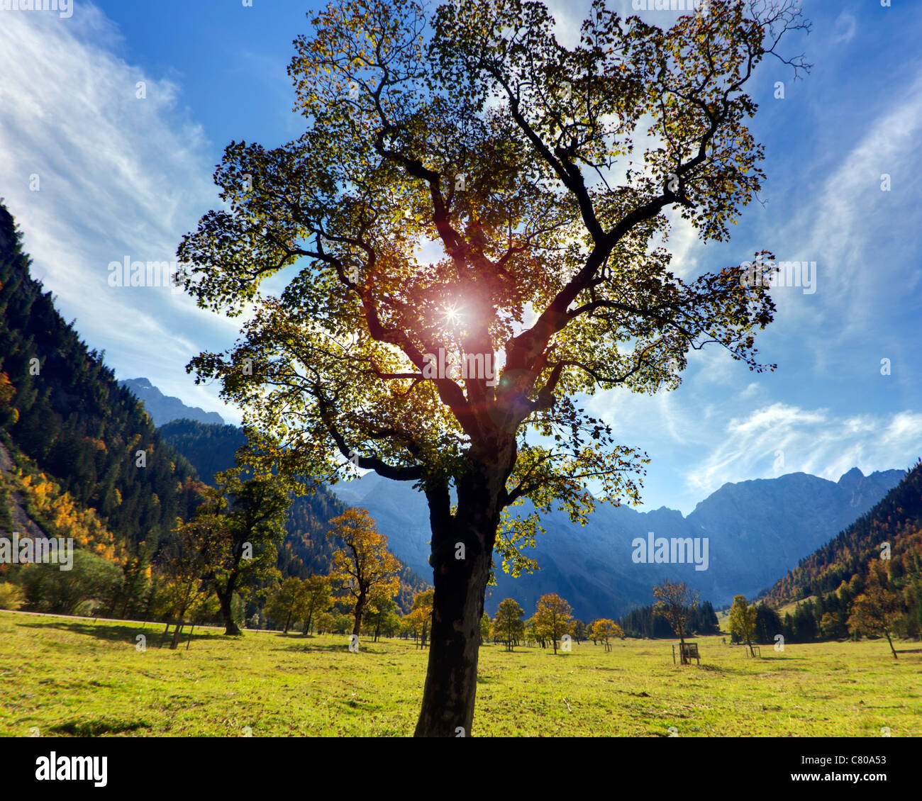 Au Tyrol - à l'automne : Grosser Ahornboden Banque D'Images