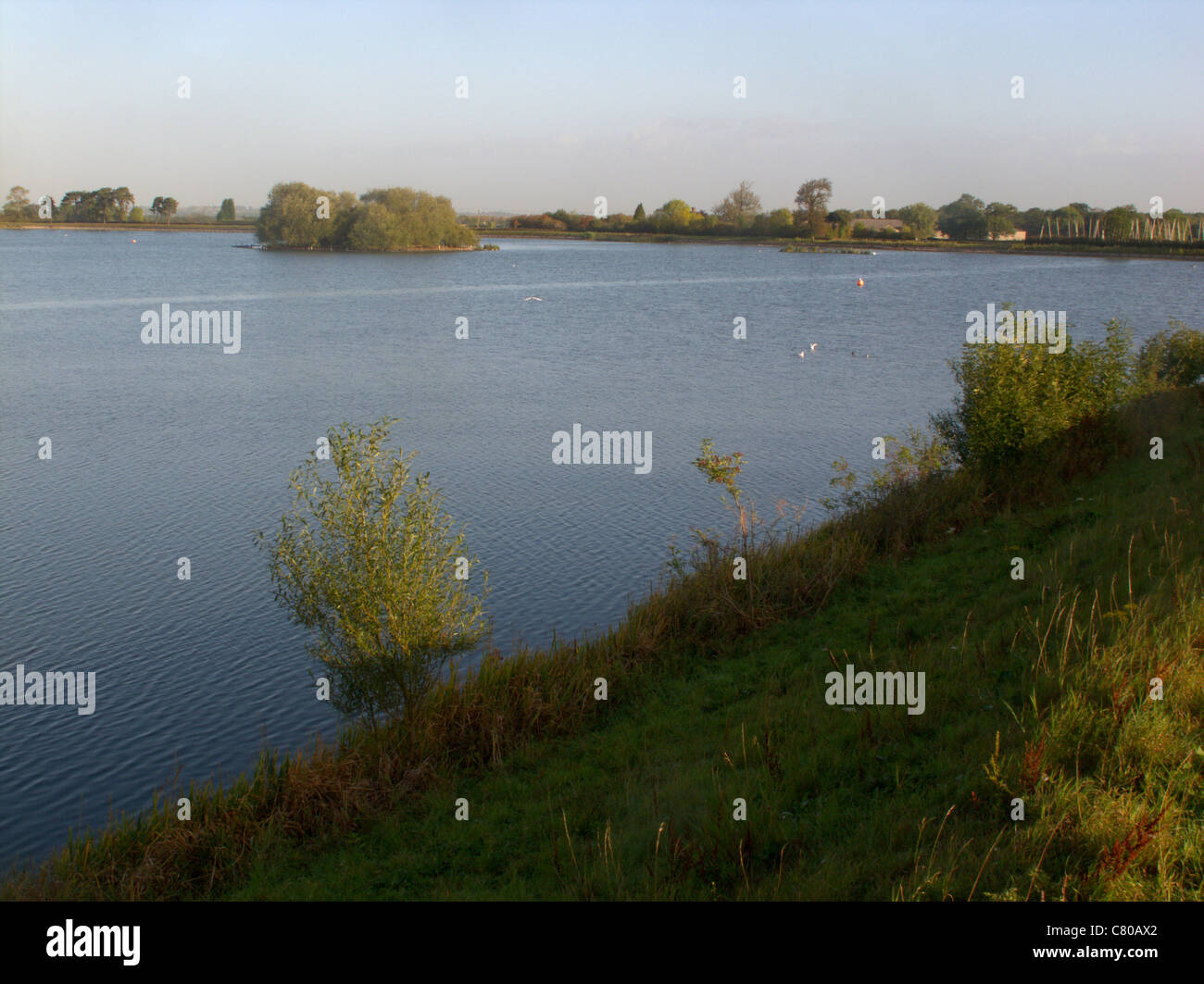 Réservoir Gailey, l'observation des oiseaux site, Staffordshire, Septembre 2011 Banque D'Images