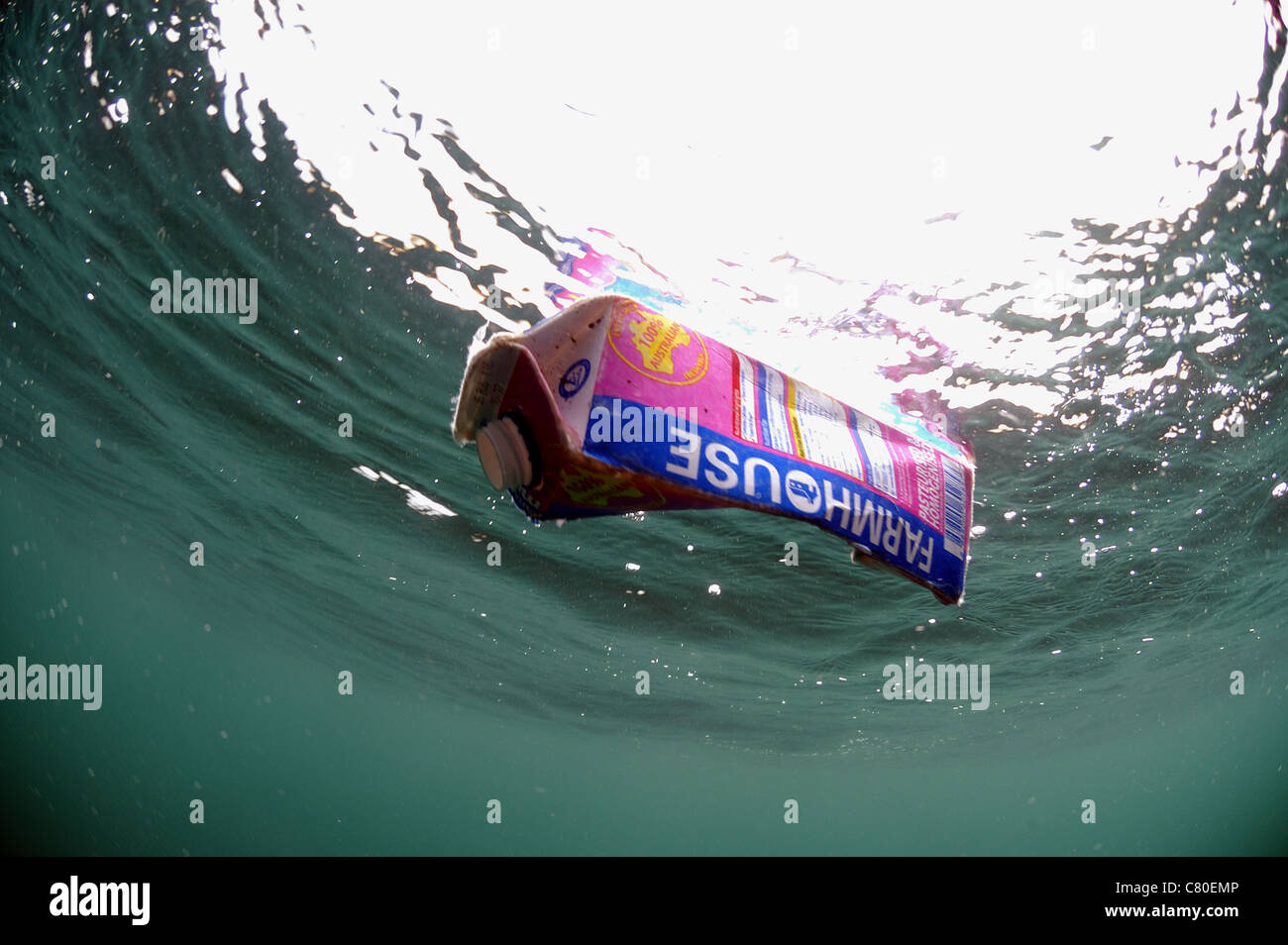 Carton de lait flottant sur la mer, la baie de Kimmeridge Dorset Banque D'Images