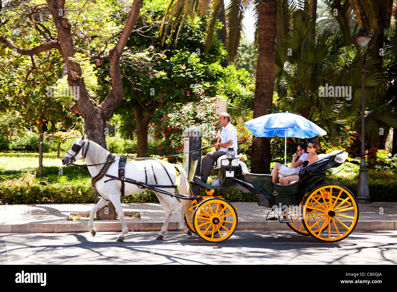 Les touristes en calèche équitation dans Palacio Malaga Costa del Sol Andalousie Espagne Banque D'Images