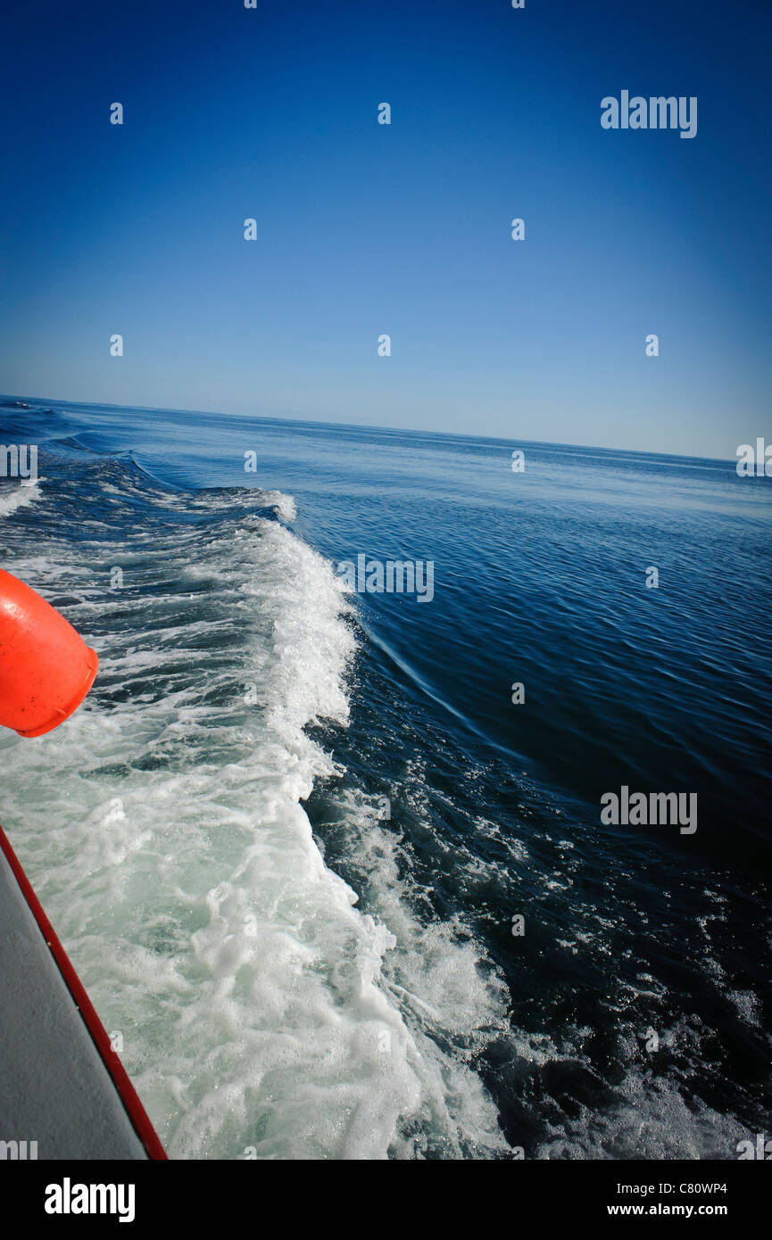 Service de bateau dans la baie de Fundy, Nouveau-Brunswick Canada Banque D'Images