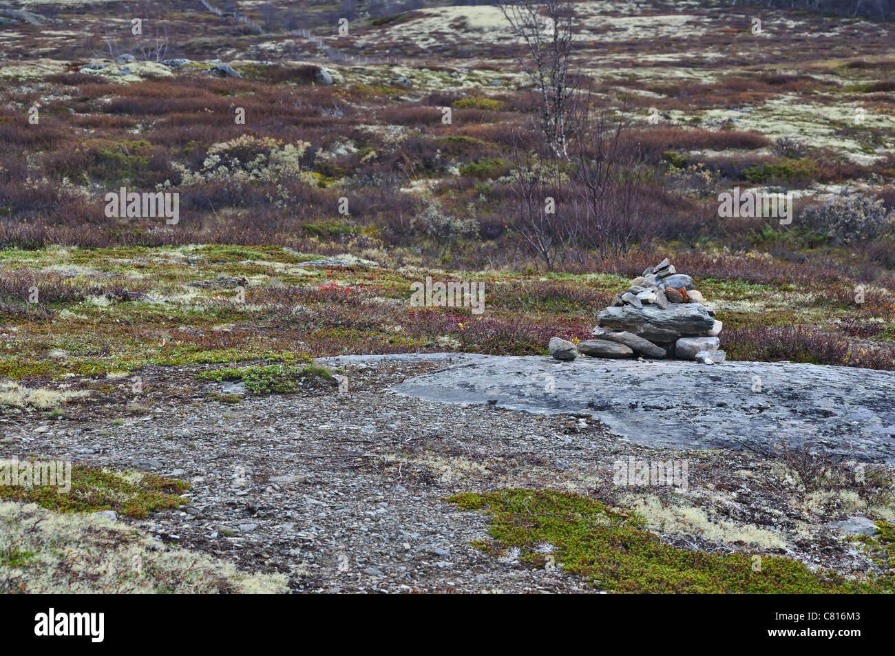 Paysage norvégien highlands avec de la pierre de pyramide. Le Parc National de Dovre Banque D'Images