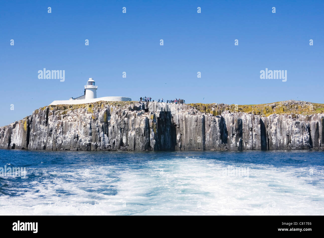Inner Farne Phare et touristes photographiant la colonie d'oiseaux de mer. Iles Farne, côte de Northumberland, en Angleterre. Banque D'Images