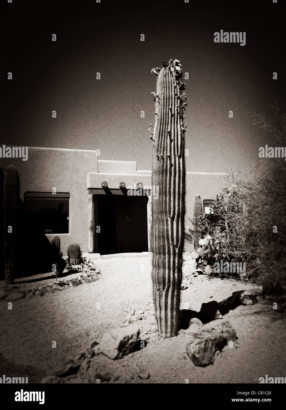 Maison de style old Santa Fe avec cactus. Banque D'Images