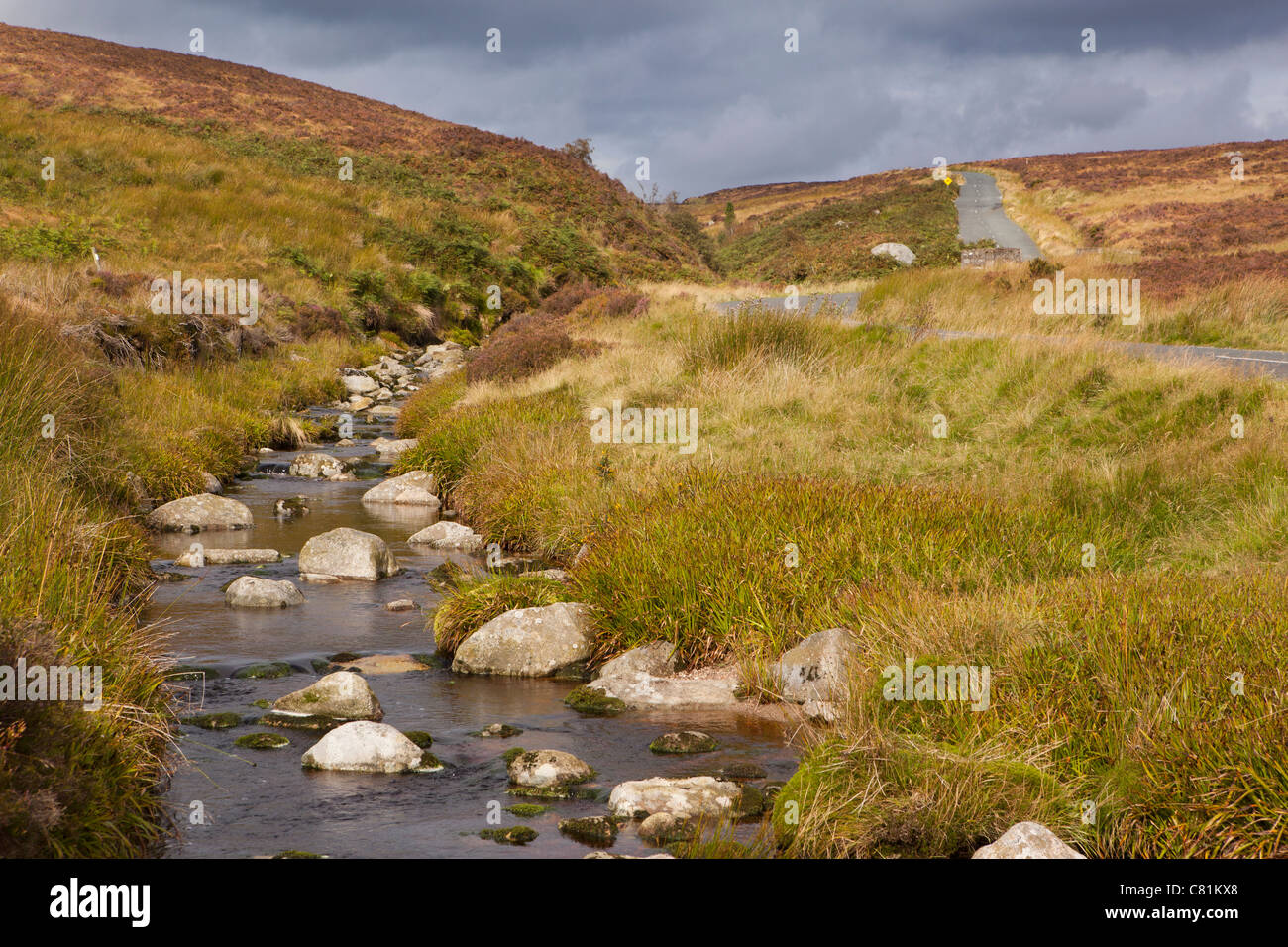 L'Irlande, Co Wicklow, Sally Gap, flux sur le col de montagne Banque D'Images