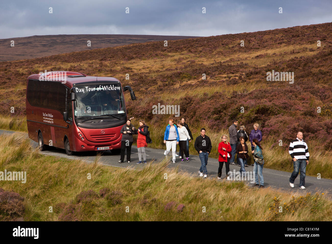 L'Irlande, Co Wicklow, Sally Gap, journée d'excursion en bus pour aller passagers débarqués pour prendre des photos Banque D'Images