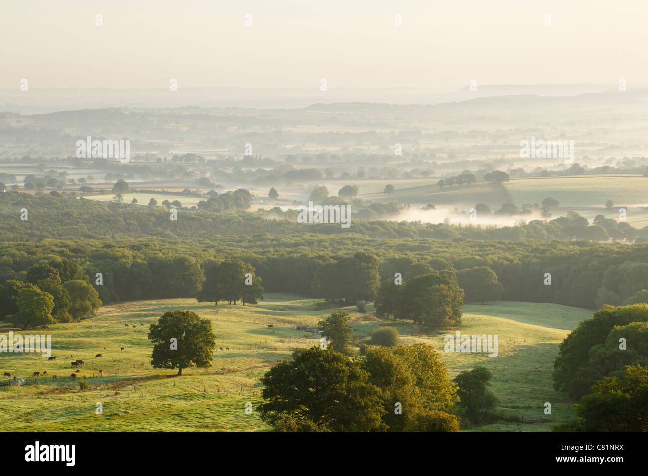 Vue depuis près de Castle Neroche dans les collines de Blackdown. Le Somerset. L'Angleterre. UK. Banque D'Images Vue depuis près de Castle Neroche dans les collines de Blackdown. Le Somerset. L'Angleterre. UK. Banque D'Images
