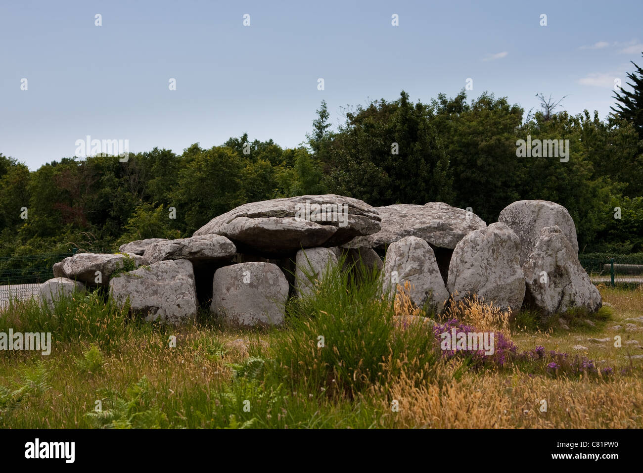 Les pierres de Carnac, un site mégalithique de Bretagne, France Banque D'Images