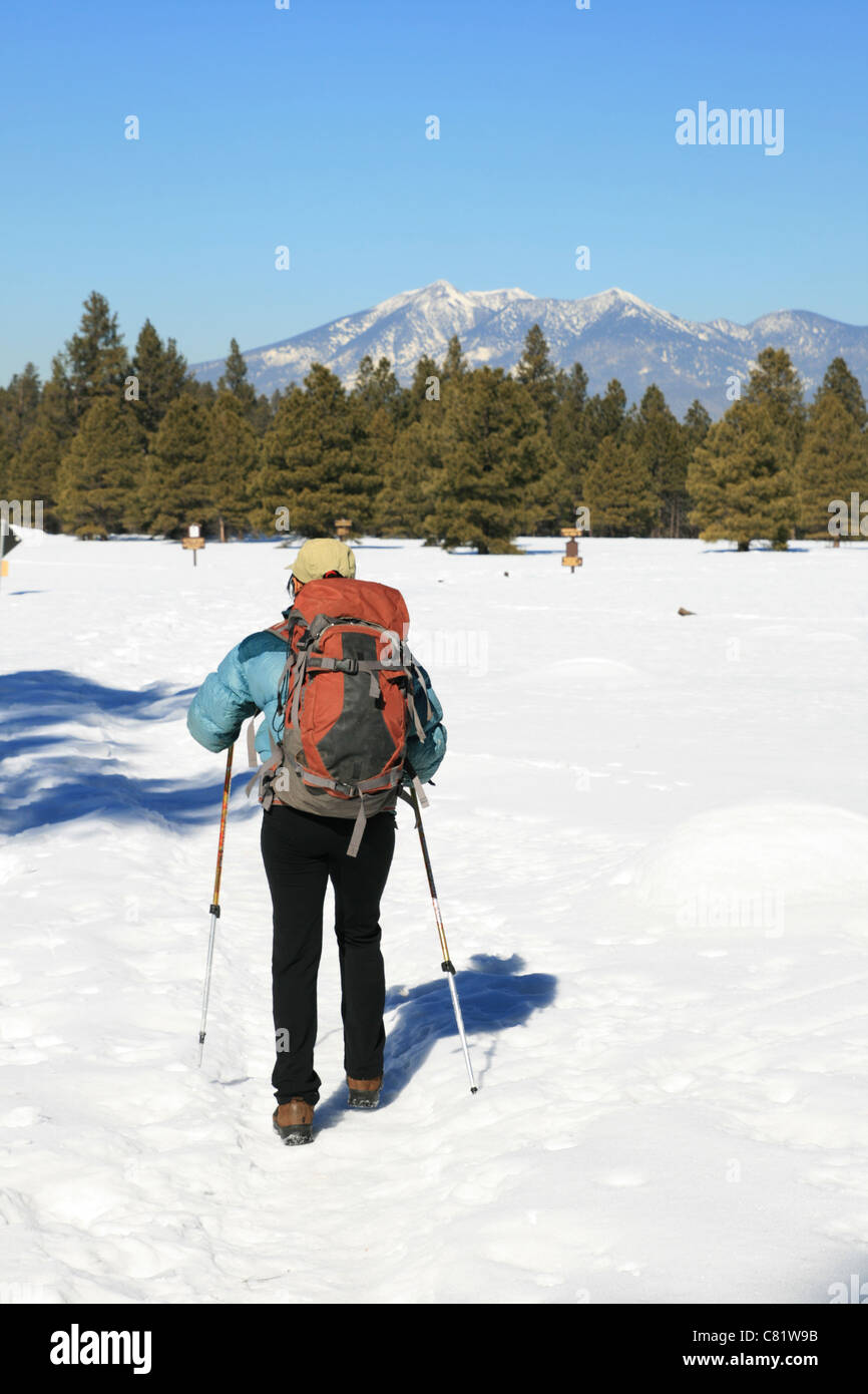 Une femme avec un sac à dos et bâtons randonnée loin sur la neige en hiver Banque D'Images