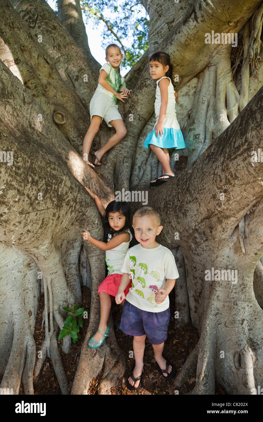 Les enfants debout dans grand arbre Banque D'Images