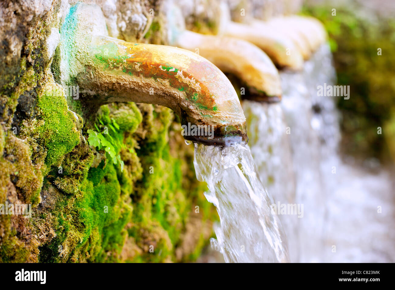 Source de l'eau fontaine en laiton avec ressort mousse verte Banque D'Images