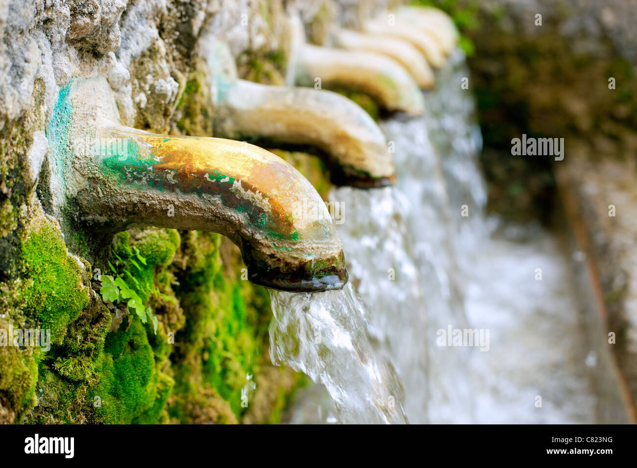 Source de l'eau fontaine en laiton avec ressort mousse verte Banque D'Images