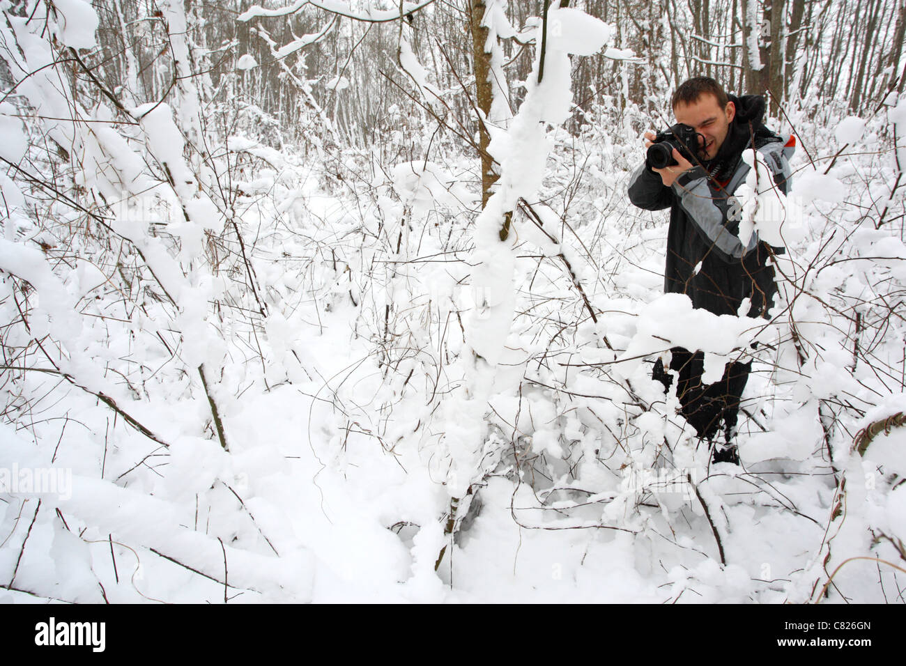 Photographe de la nature de la prise d'une photo Banque D'Images