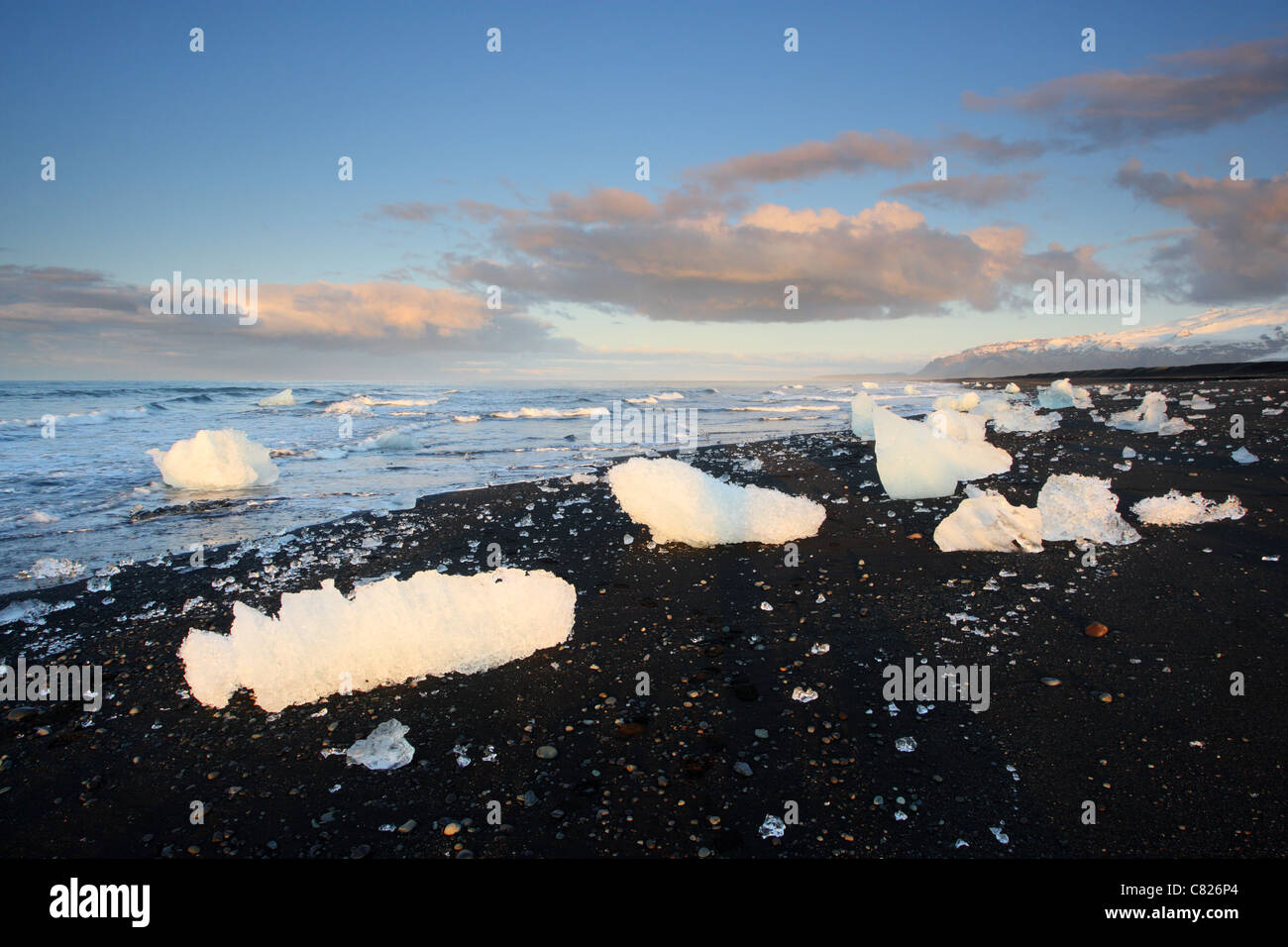 De gros morceaux de glace de glacier sur la plage de sable noir, l'Islande, Jökulsárlón. Banque D'Images