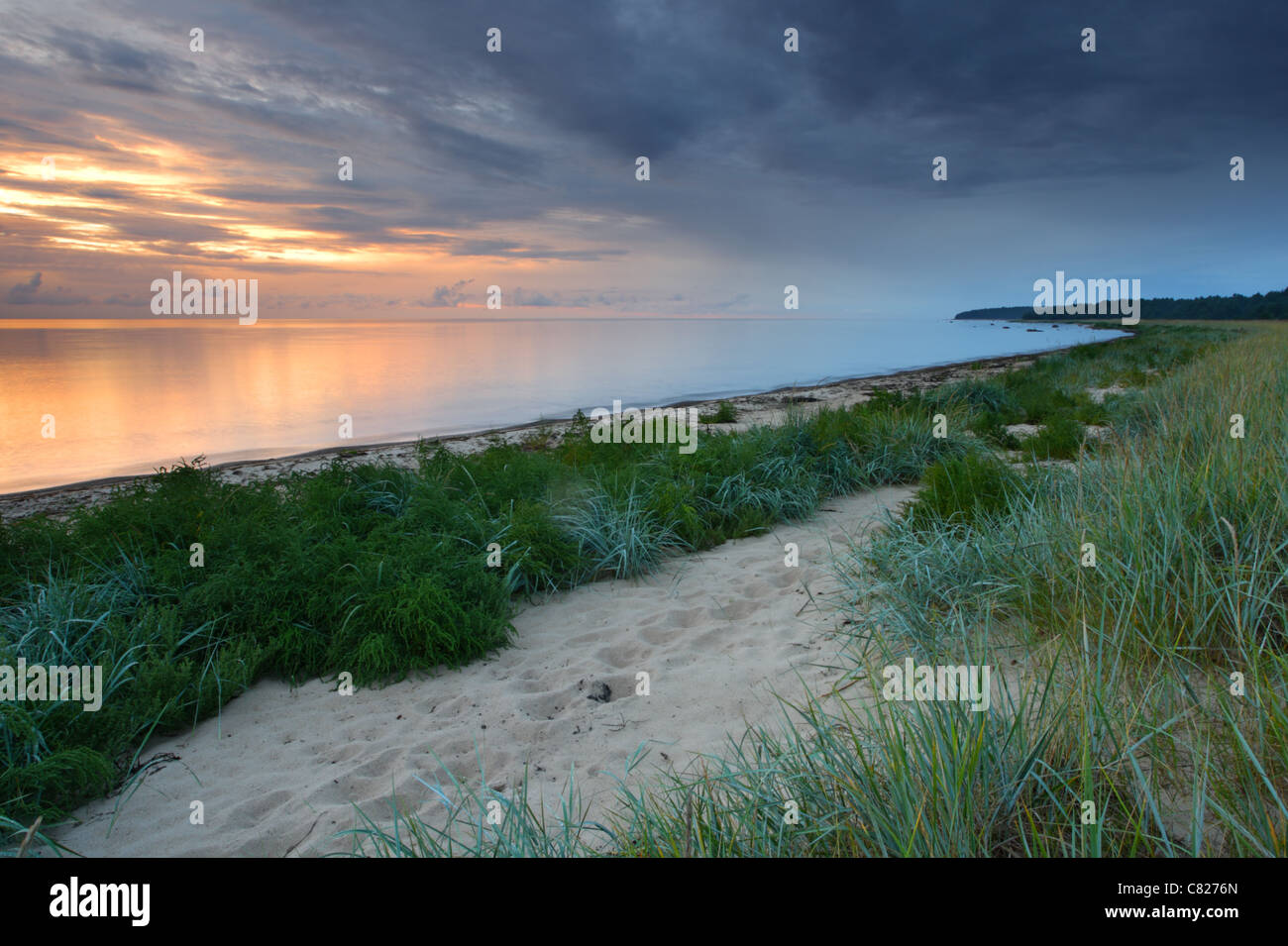 Côte de la mer Baltique, l'Estonie, l'île d'Hiiumaa Banque D'Images