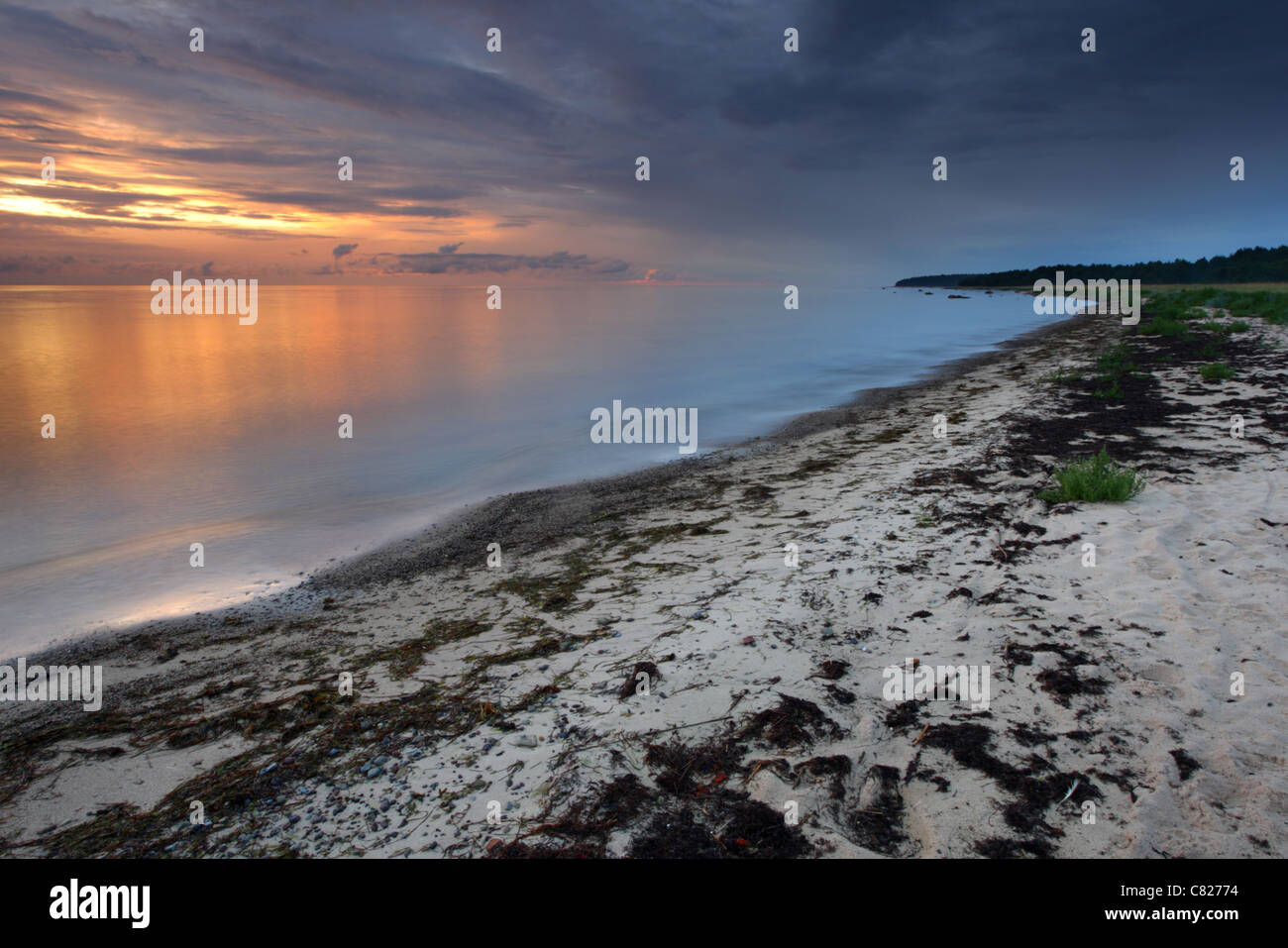 Côte de la mer Baltique à l'île d'Hiiumaa, Estonie Banque D'Images
