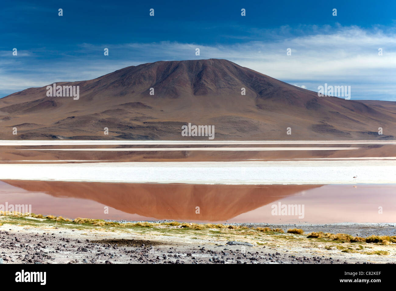 La magnifique lagune Laguna Colorada (rouge) dans l'Altiplano bolivien Banque D'Images