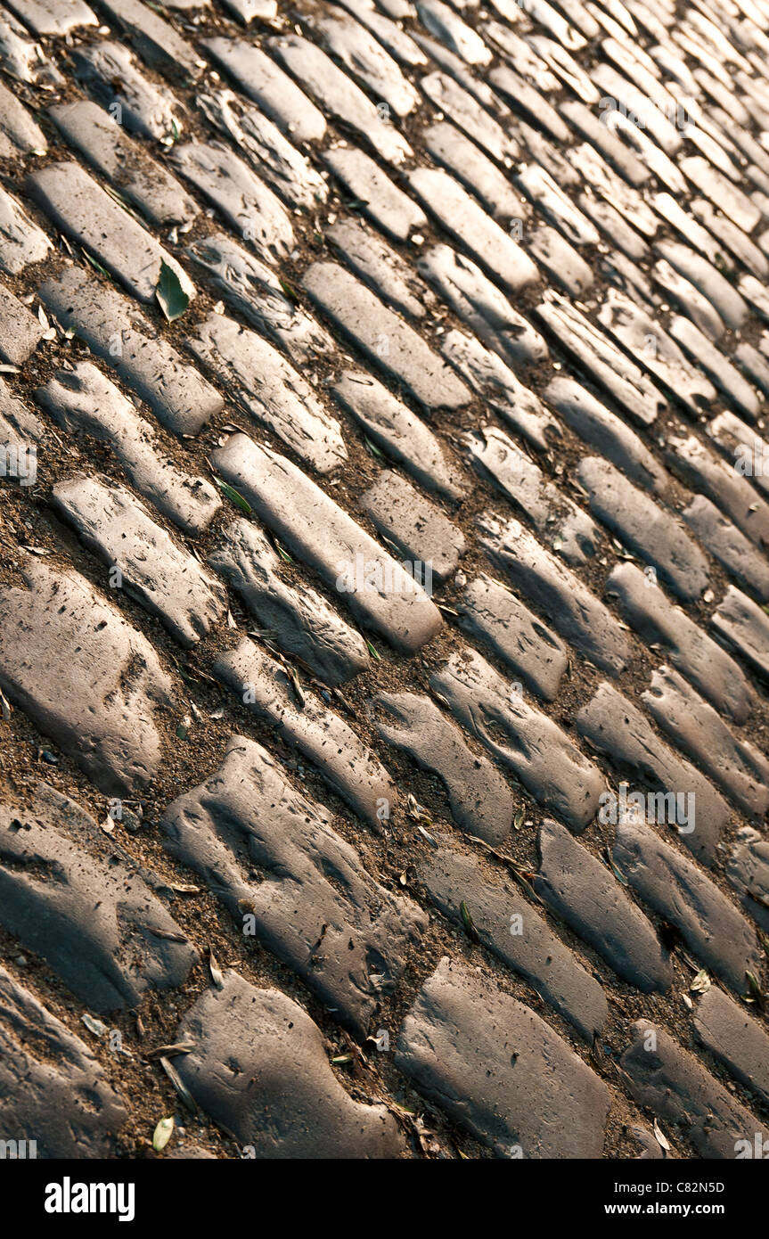 Cobblestone sépia à Prague Banque D'Images