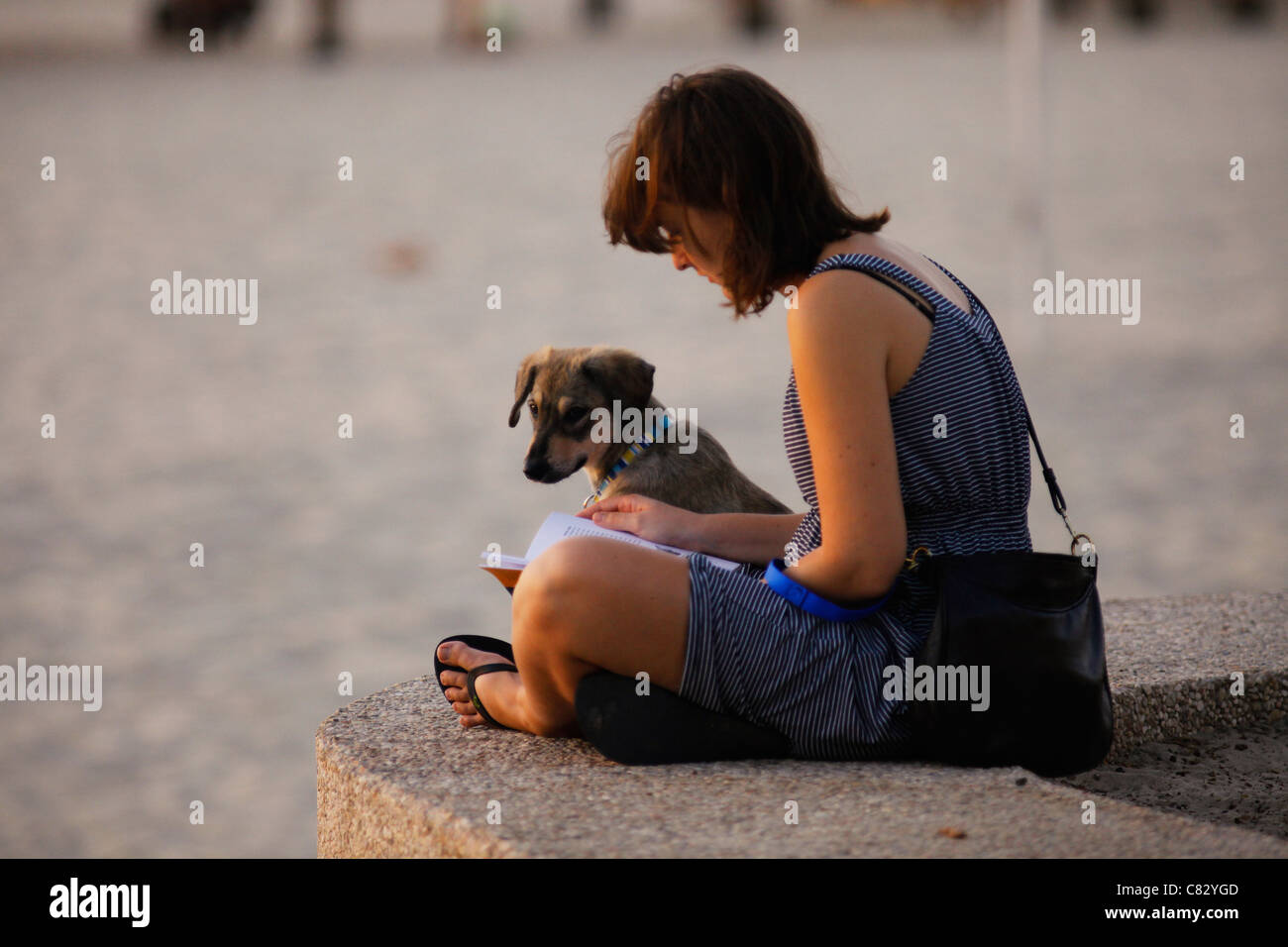 Une jeune femme lisant un livre à la plage de chien Tqui est une petite bande de plage consacrée aux chiens, leurs propriétaires et les amoureux de chien. Situé entre la plage gay et la plage séparée (où les hommes et les femmes vont nager les jours de remplacement) tel Aviv Israël Banque D'Images