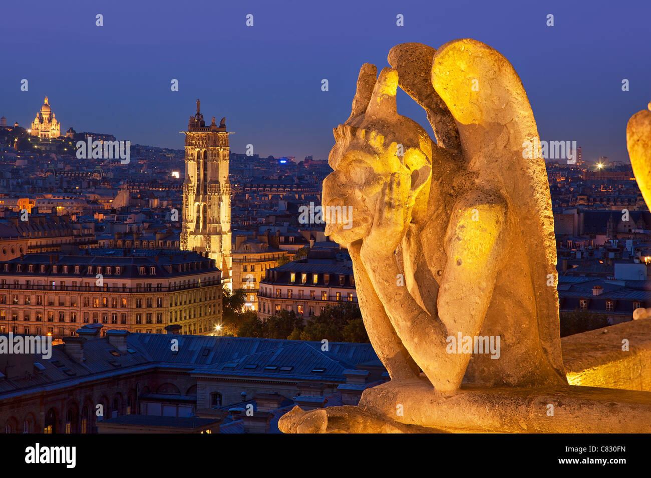 France, Paris, vue sur Paris de la Cathédrale Notre-Dame Banque D'Images