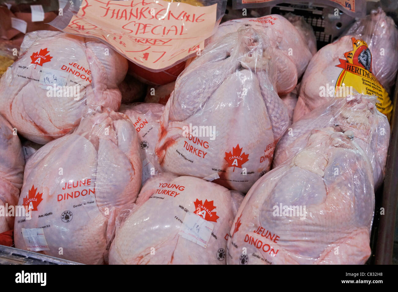 Les jeunes Canadiens emballés dindes, dindons, Grade A, enveloppés dans du plastique Banque D'Images