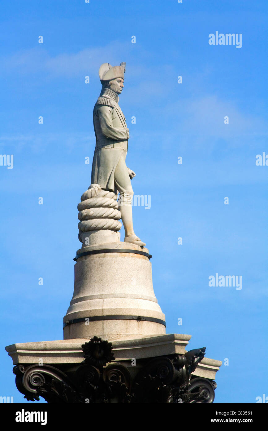 L'Amiral Lord Nelsons Column à Trafalgar Square à Londres Banque D'Images