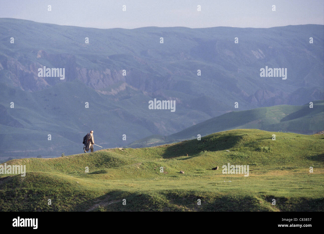 Un berger marche à travers les ruines de Gissar, au Tadjikistan. Banque D'Images