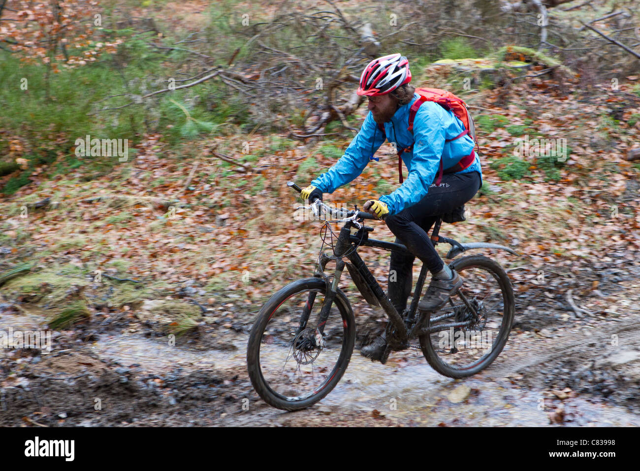 Offroad cycliste Banque D'Images