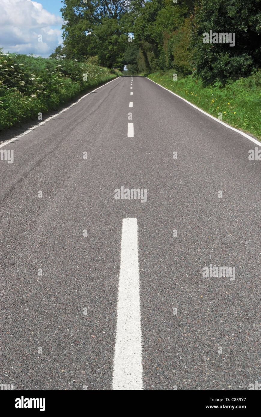 Tarmac tout droit route de campagne avec des lignes blanches sur le bord de la forêt dans le West Sussex. L'Angleterre Banque D'Images