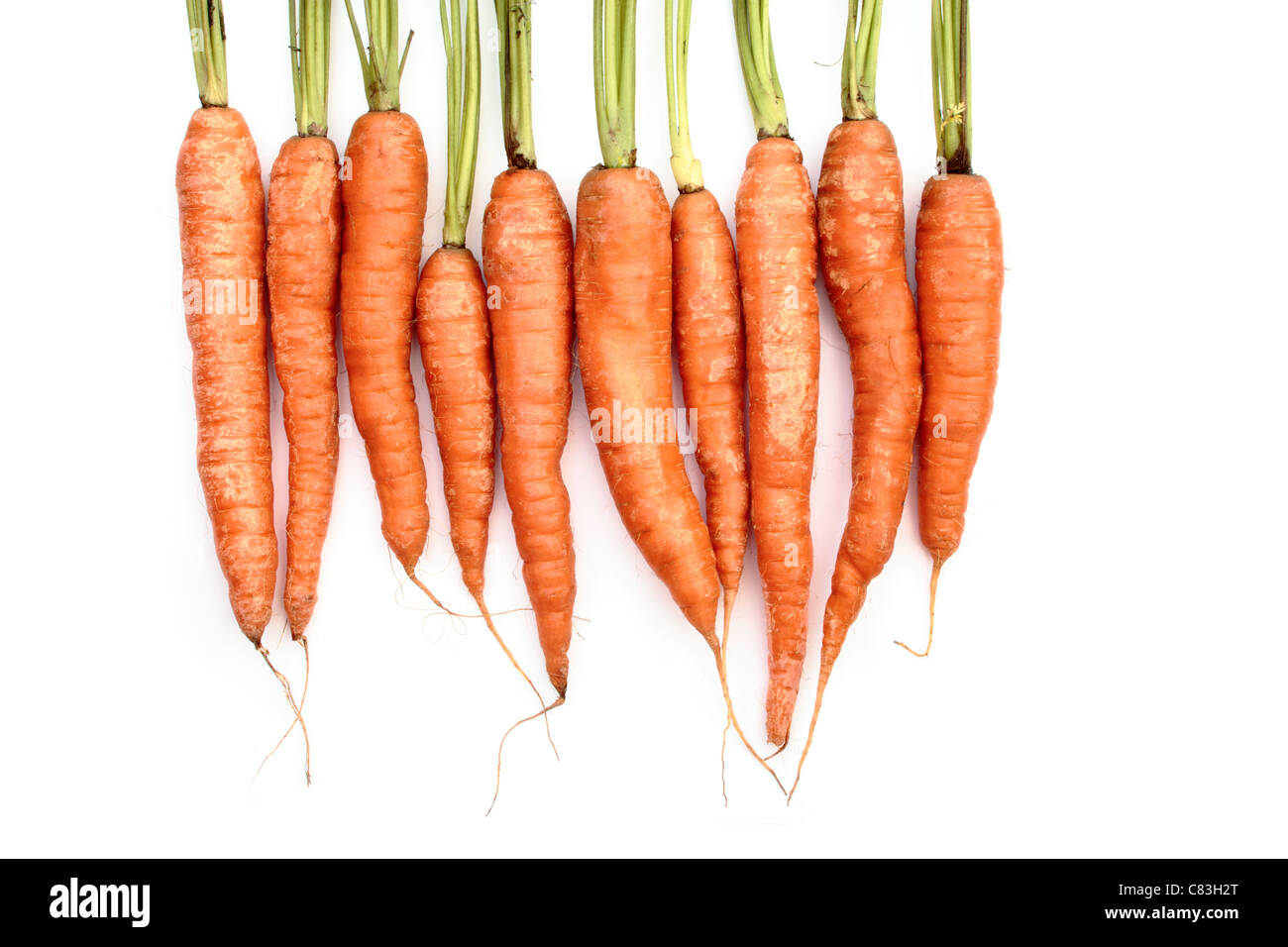Carottes biologiques dans une ligne avec une partie de la carotte haut sur un fond blanc. Banque D'Images