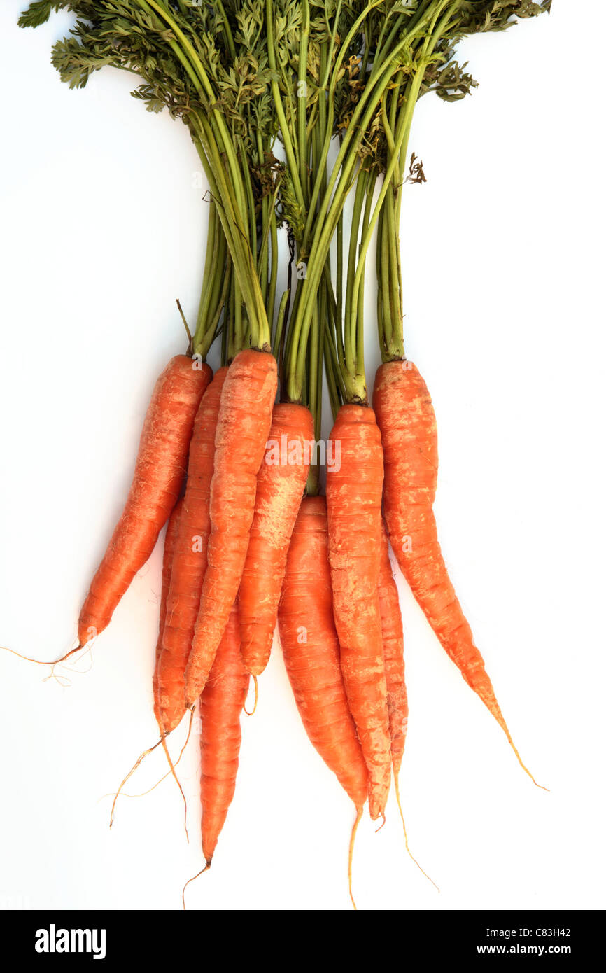 Carottes biologiques avec les verts (ou de carottes) sur un fond blanc. Banque D'Images