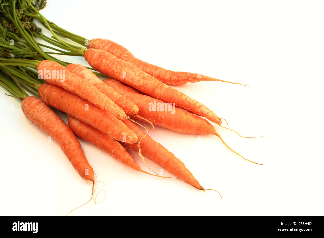 Carottes biologiques avec des feuilles de carottes sur un fond blanc. Banque D'Images