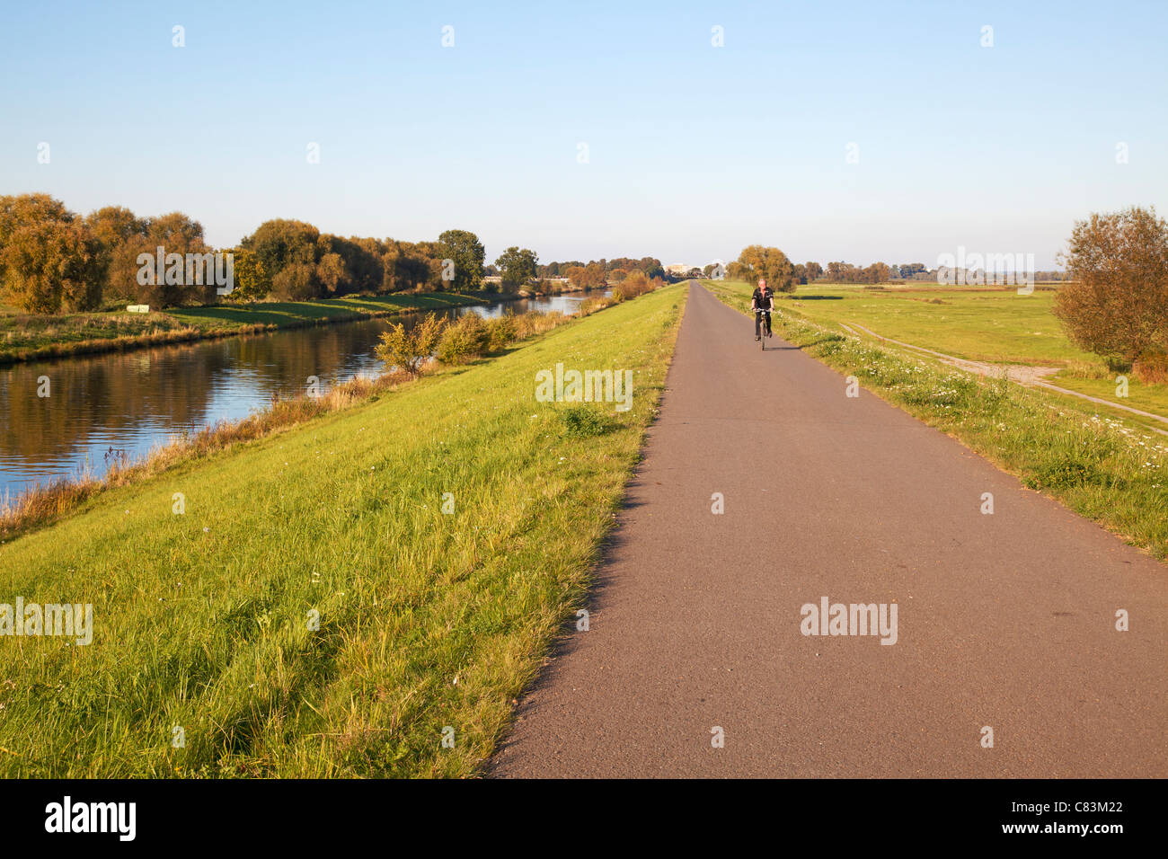 Cycliste sur l'Oder Neisse cycle path près de Zützen, Schwedt, Brandebourg, Allemagne Banque D'Images