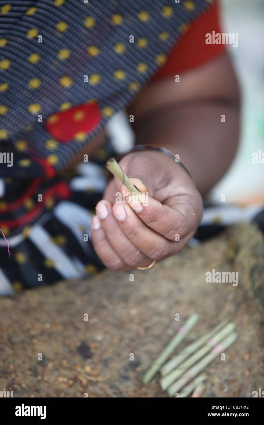 Une femme préparant beedi , cigarettes indiennes Inde du sud de l'Andhra Pradesh Banque D'Images