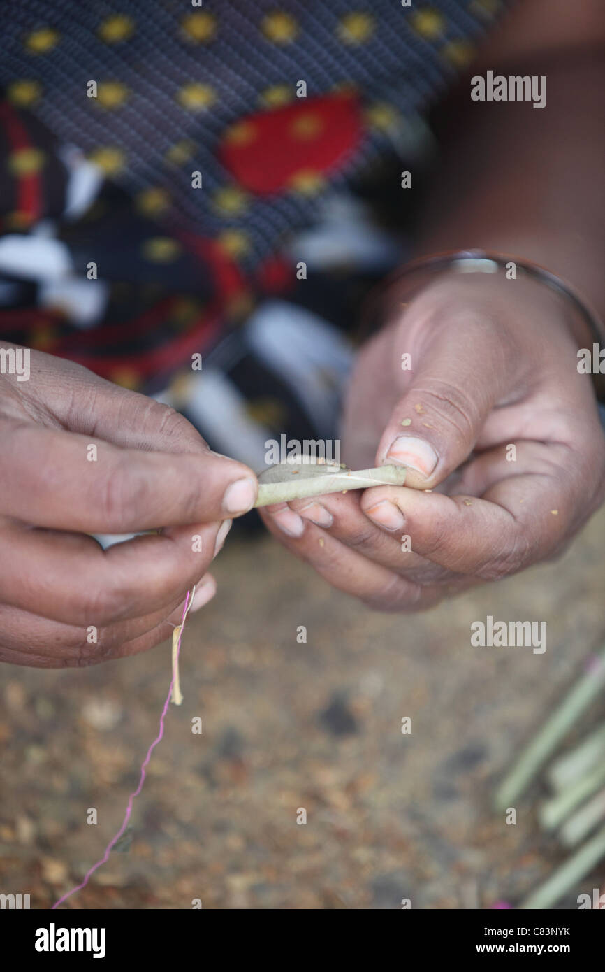 Une femme préparant beedi , cigarettes indiennes Inde du sud de l'Andhra Pradesh Banque D'Images