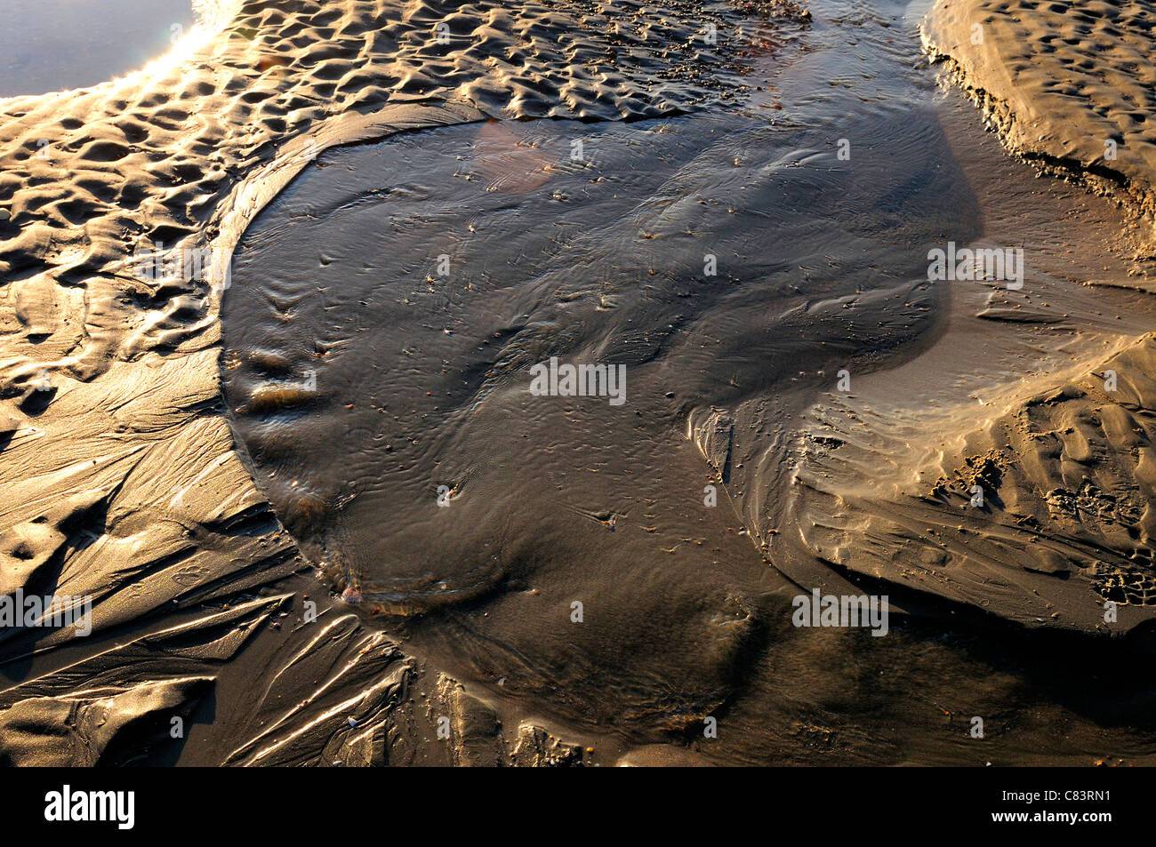 Des modèles dans le sable de l'eau marée basse à West Wittering Beach, Banque D'Images
