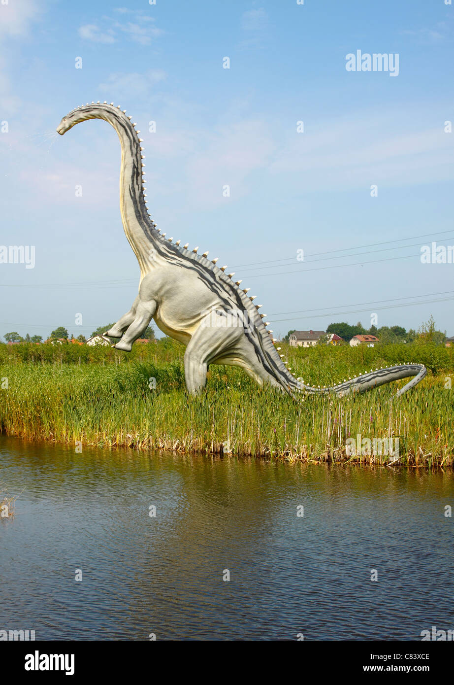 Le Diplodocus en Leba Park (parc à thème dinosaure), Pologne Banque D'Images