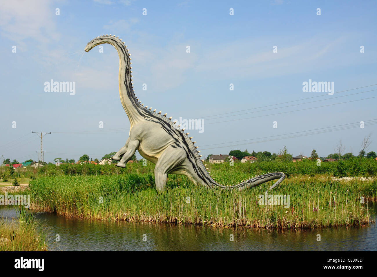 Le Diplodocus en Leba Park (parc à thème dinosaure), Pologne Banque D'Images