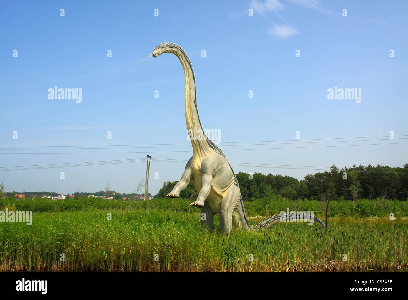 Le Diplodocus en Leba Park (parc à thème dinosaure), Pologne Banque D'Images