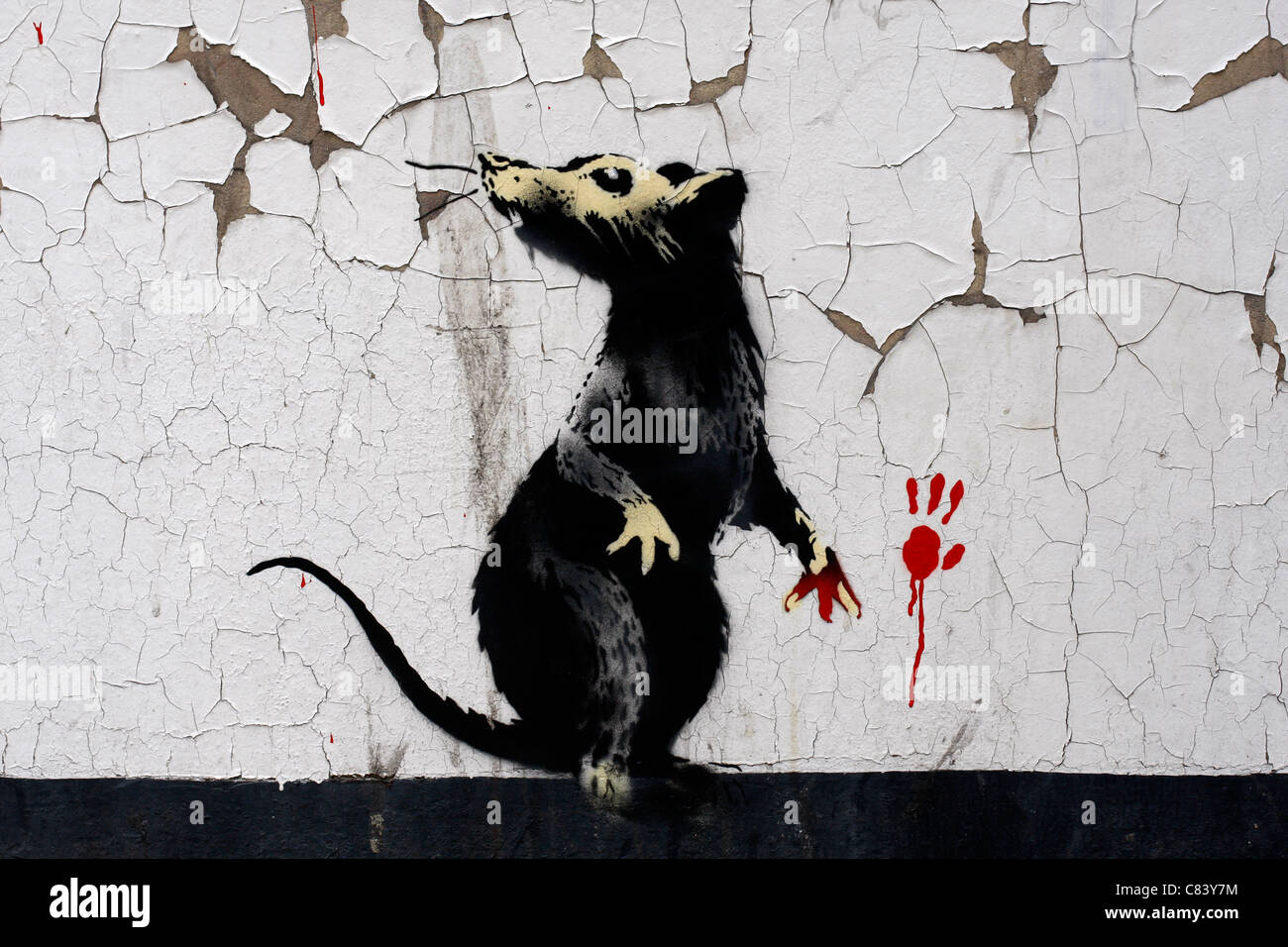 Les Artistiques - Banksy Graffiti - Chaussettes Rat À Pois main image 1