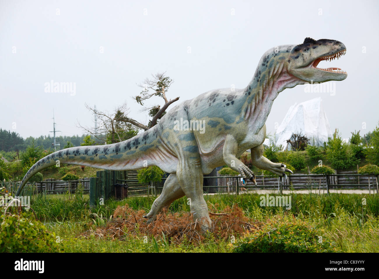 L'Allosaurus de Leba Park (parc à thème dinosaure), Pologne Banque D'Images