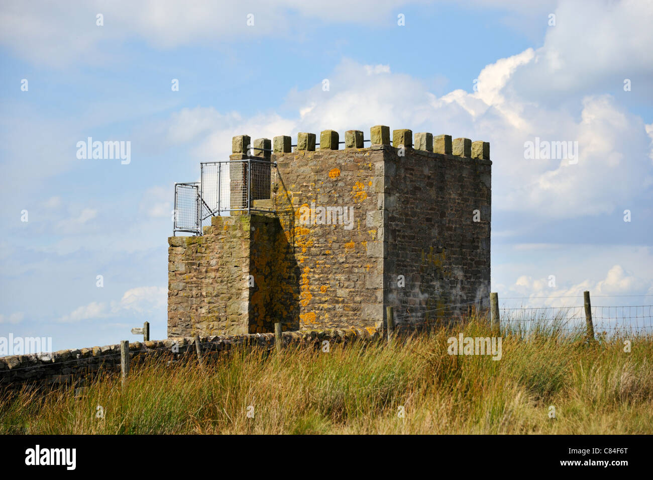 Jubillee Tower, Westfield House Farm, Abbeystead tomba, Lancashire, Angleterre, Royaume-Uni, Europe. Banque D'Images