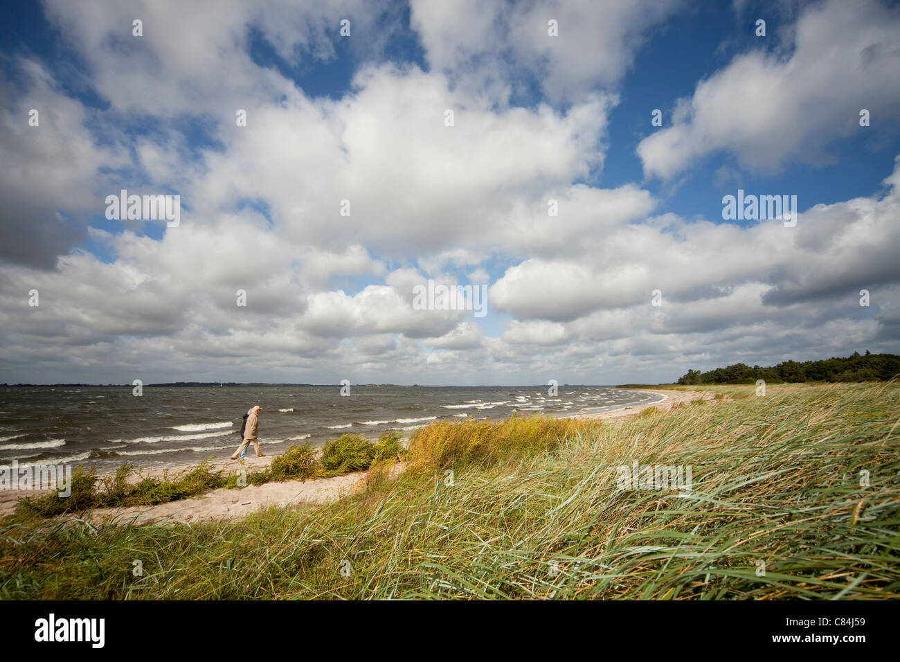 Couple en train de marcher sur la rive de la baie de Greifswald, ville hanséatique de Greifswald, Mecklenburg-Vorpommern, Allemagne Banque D'Images