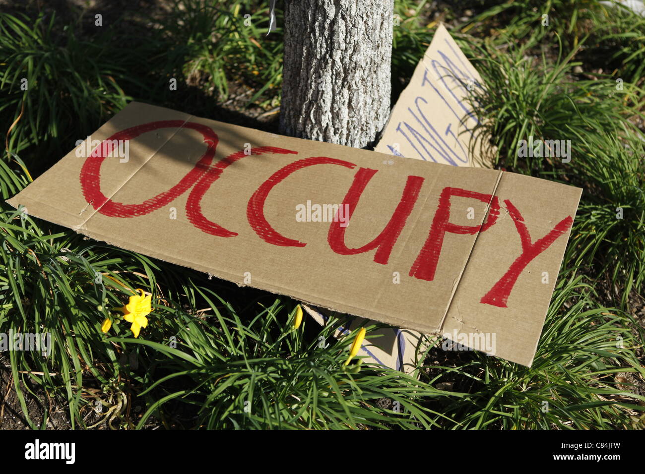 Occuper Wall Street Bloomington pancartes à Peoples Park. Le mouvement a débuté dimanche 9 octobre 2011 en solidarité pour les protestataires qui occupent Wall Street à New York. Banque D'Images