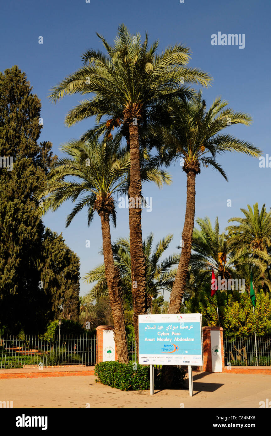 Cyber Park Arsat Moulay Abdeslam, Avenue Mohamed V, Marrakech, Maroc Banque D'Images