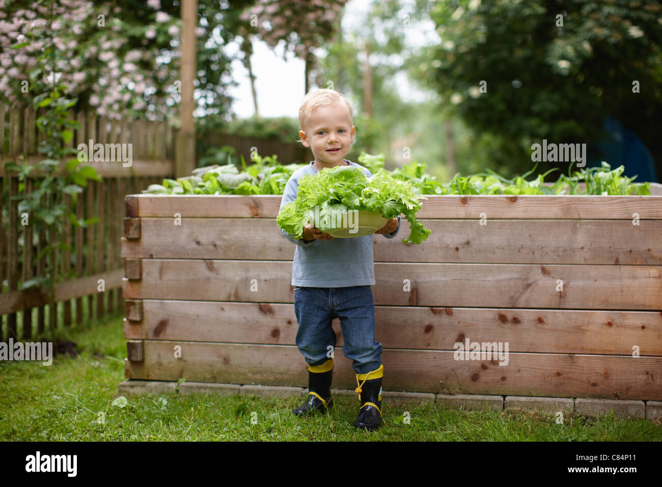 Bébé garçon choisir les plantes de jardin Photo Stock - Alamy
