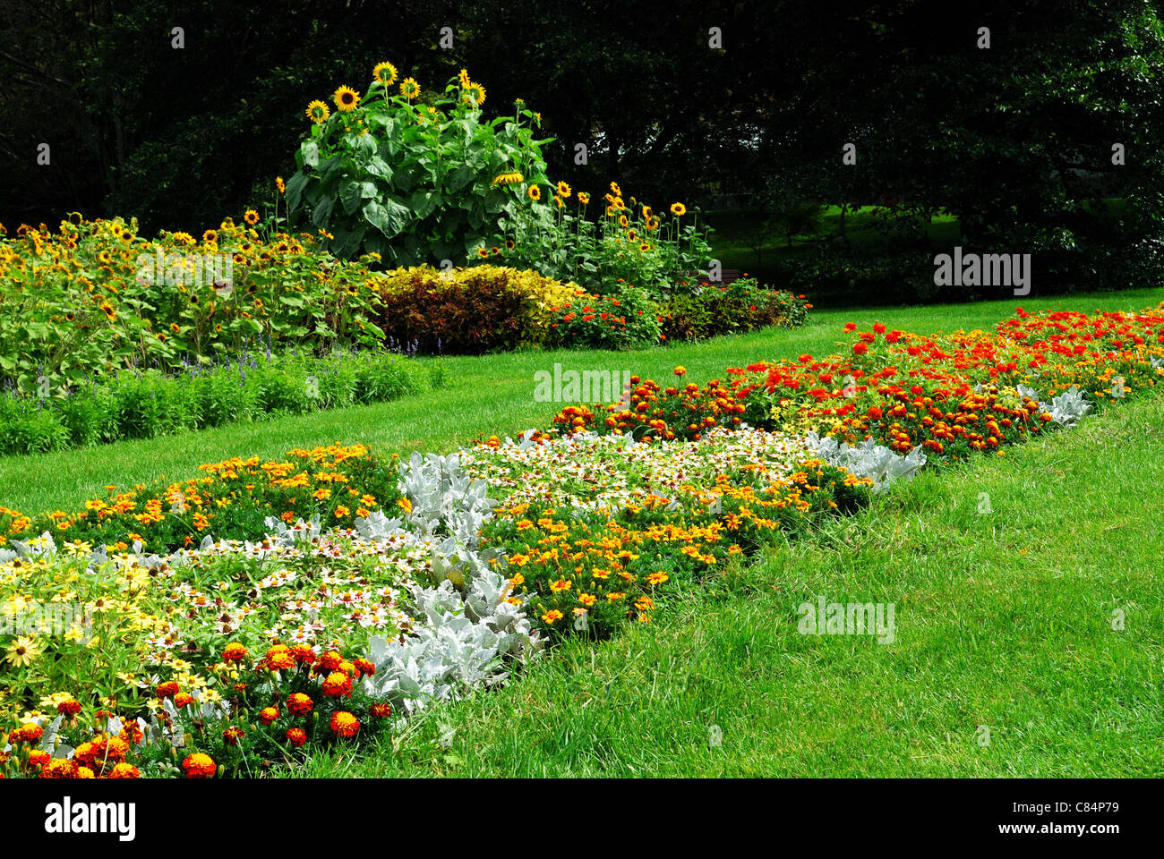 Linéaire long lit de fleur avec des losanges à l'intérieur. Banque D'Images